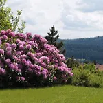 Zur Klause 3* Bodenmais