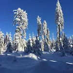 Zur Klause Konukevi Bodenmais
