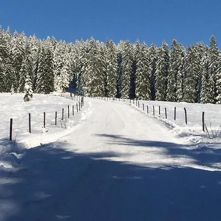 Gasthof Zur Klause Bodenmais