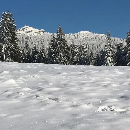 Zur Klause 3* Bodenmais