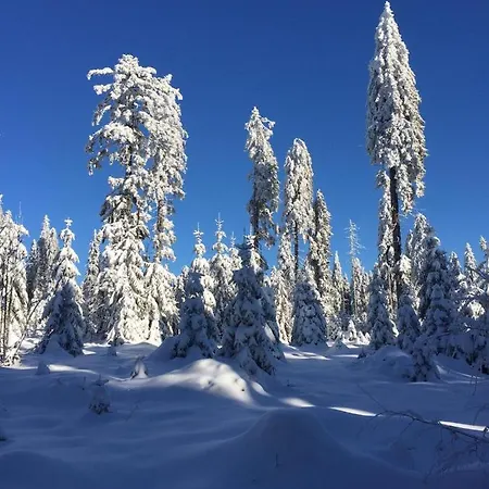 Zur Klause Casa de hóspedes Bodenmais
